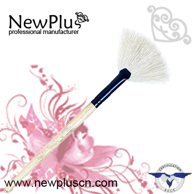 Fan brush