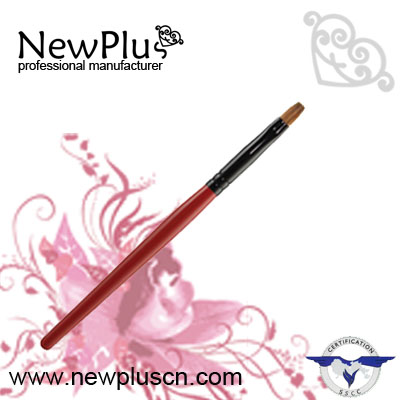 Professionnel Lip Brush