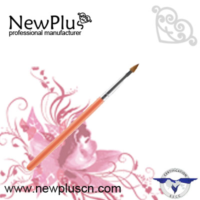 Professionnel Lip Brush