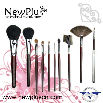 10PCS red wood handle silver ferrule Makeup Brush Set