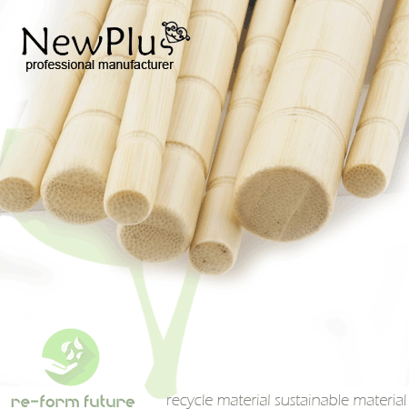 bamboo makeup brushes