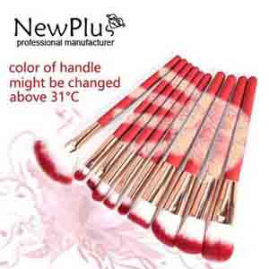 makeup brush set