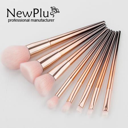 makeup Brush set
