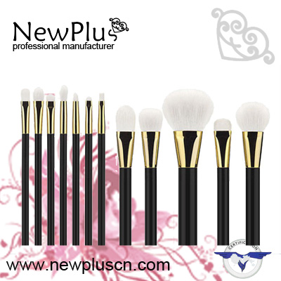 makeup Brush set