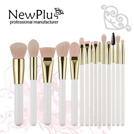 makeup Brush set