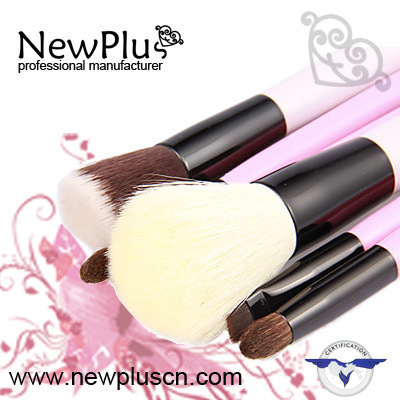 makeup Brush set