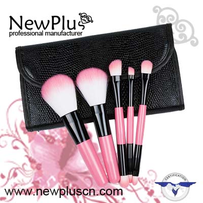 makeup Brush set