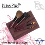 6PCS Makeup Brush Set